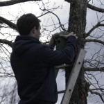 Oasi Ghirardi aprile 2012 (053) attività di installazione di nidi artificiali