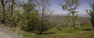Panoramica Albareto Val Gotra (1)