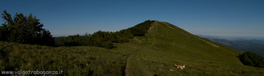 Monte Gottero - crinale - erba fina - panoramica