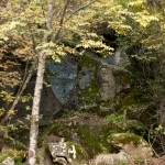 Val Taro Borgotaro (146)sculture sulla roccia -antichi volti (facce),