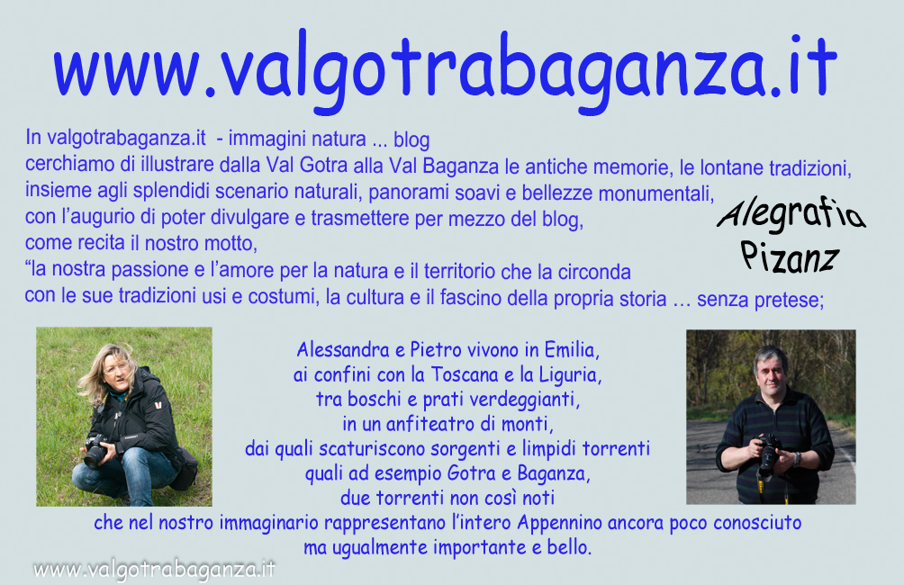 Biglietto Blog valgotrabaganza.it