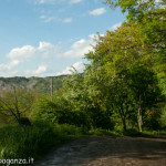 Val Baganza primavera (100)