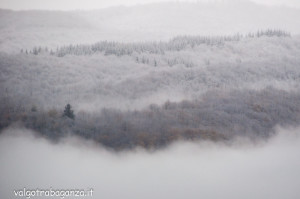 2013-11-21 Prima neve in Val Gotra (109) neve nebbia
