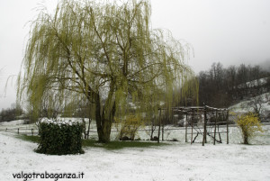 Val Gotra 24-03-2014 (15) neve fiori