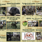 Programma Fiera Agricola della ValCeno 2014 (14)