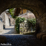 "Borgo Casale" di Valentina Pellecchia