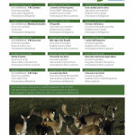 Oasi WWF dei Ghirardi calendario 2015 (1)