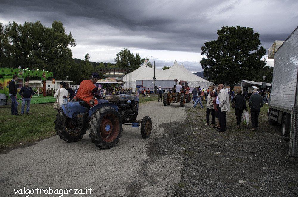 Fungo di dermatite di unghie