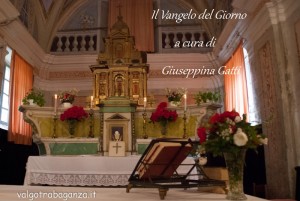 Vangelo Giorno di Gatti-Giuseppina