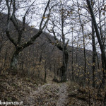 Natura (135) sentiero Redeio