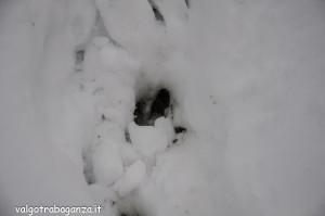 inverno Albareto (259) neve