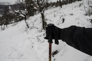 inverno Albareto (295) neve