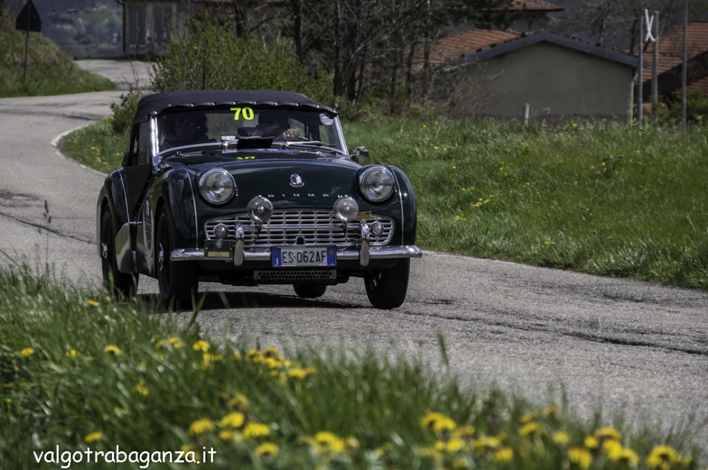 Auto Epoca (599) GP Terre Canossa