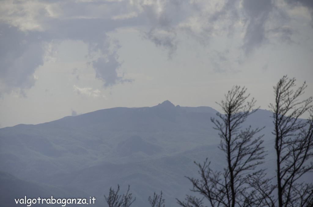 Monte Molinatico (193) Monte Penna