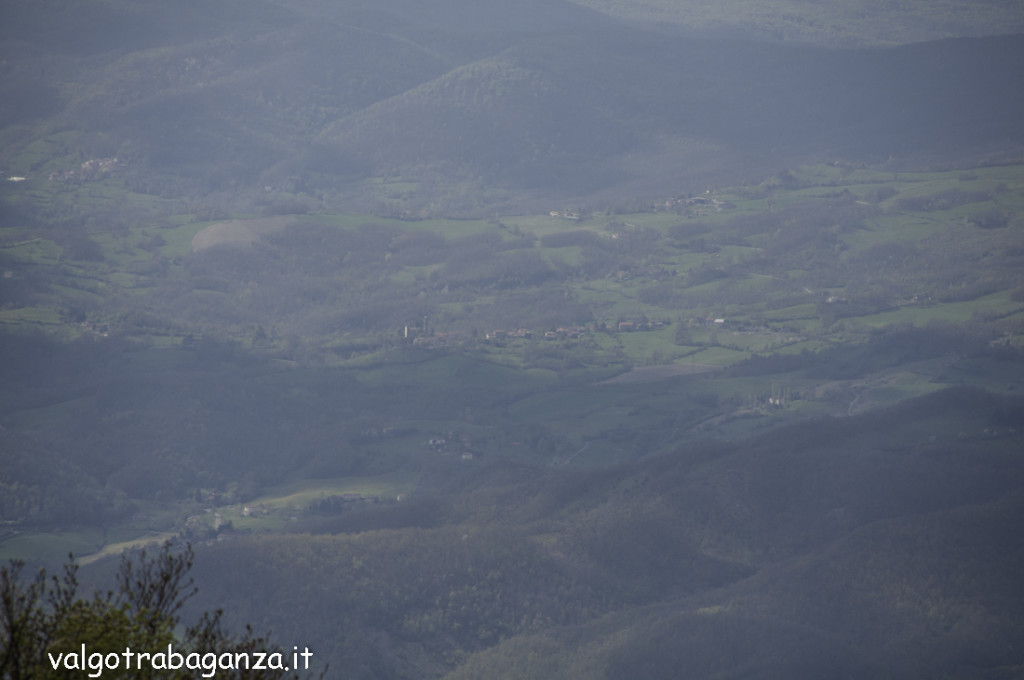 Monte Molinatico (223) Natura