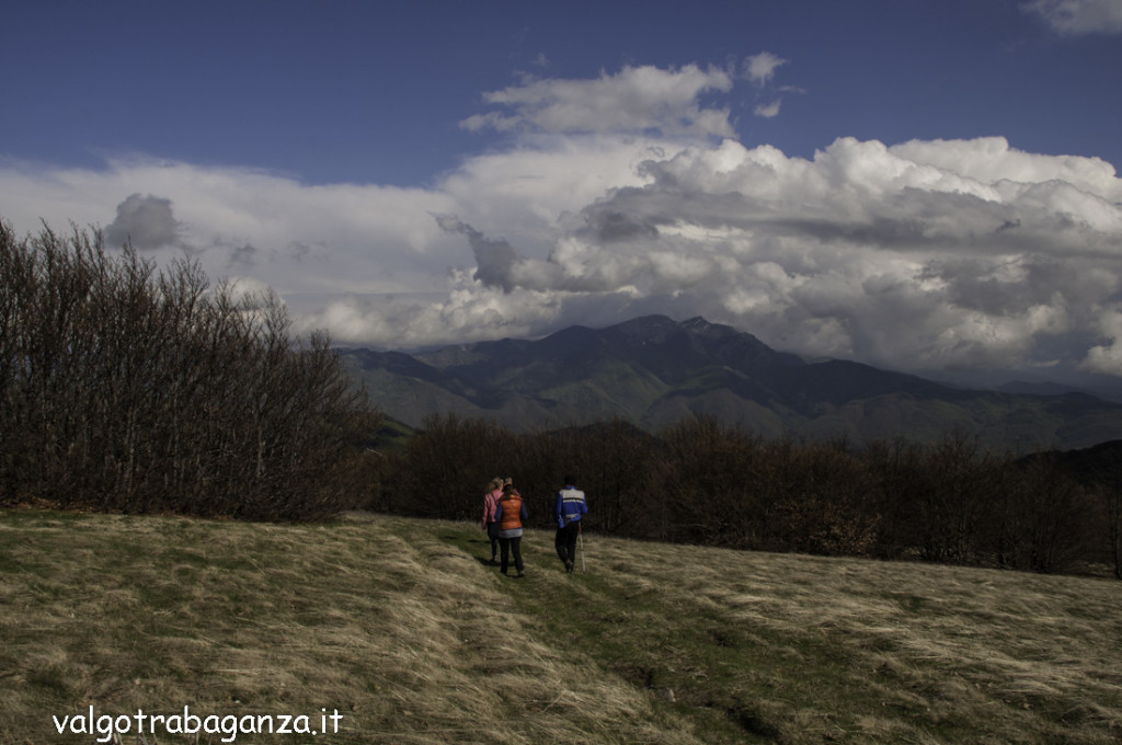 Monte Molinatico (319) Natura