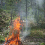 stato di grave pericolosità incendi (1)
