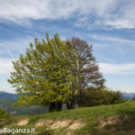 Panorama (181) Monte Pelpi