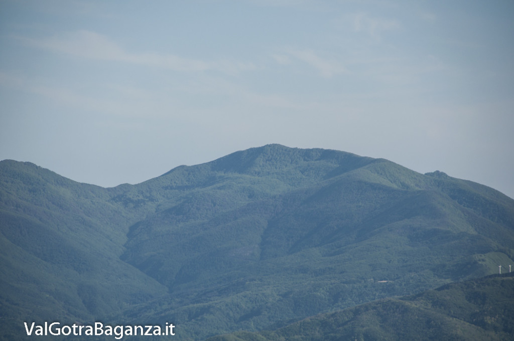 Panorama (263) Monte Gottero