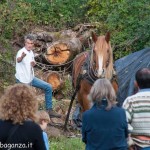 Dimostrazione di lavoro del bosco con i cavalli