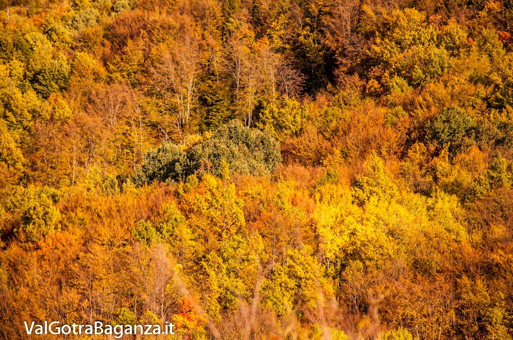 salti-del-diavolo-131-autunno-foliage